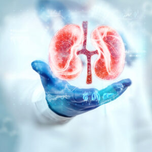 FASTLINE FIA CISTATINA C